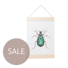 Posteraufhänger aus Leder