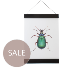 Leder-Posteraufhänger A3