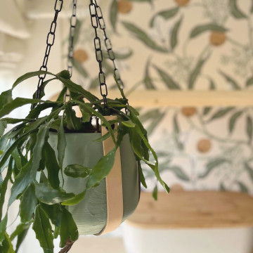 Leren plantenhanger / Cognac